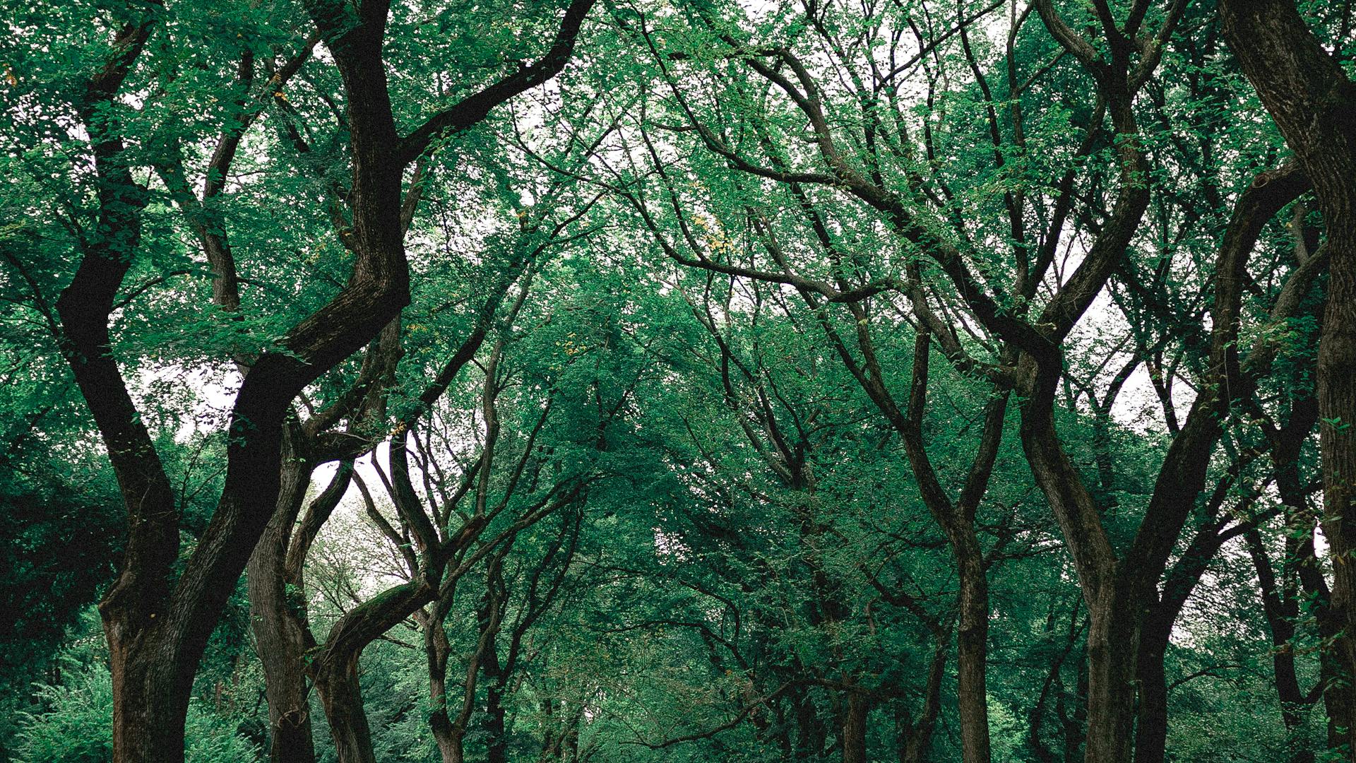 Happy bride and groom laughing together